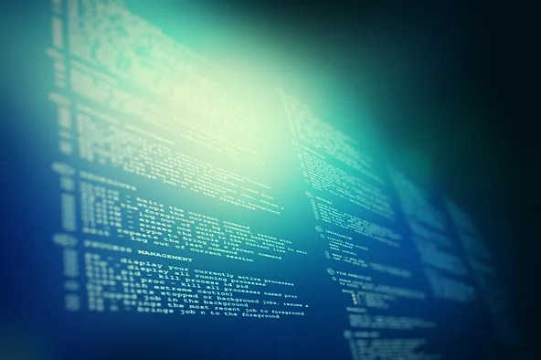 Custom Software Engineering Services: Boost Your Business Efficiency